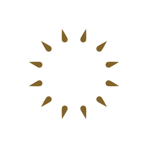 Mustafavy Holdings Logo