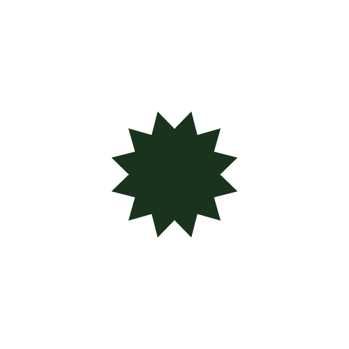 Mustafavy Holdings Logo